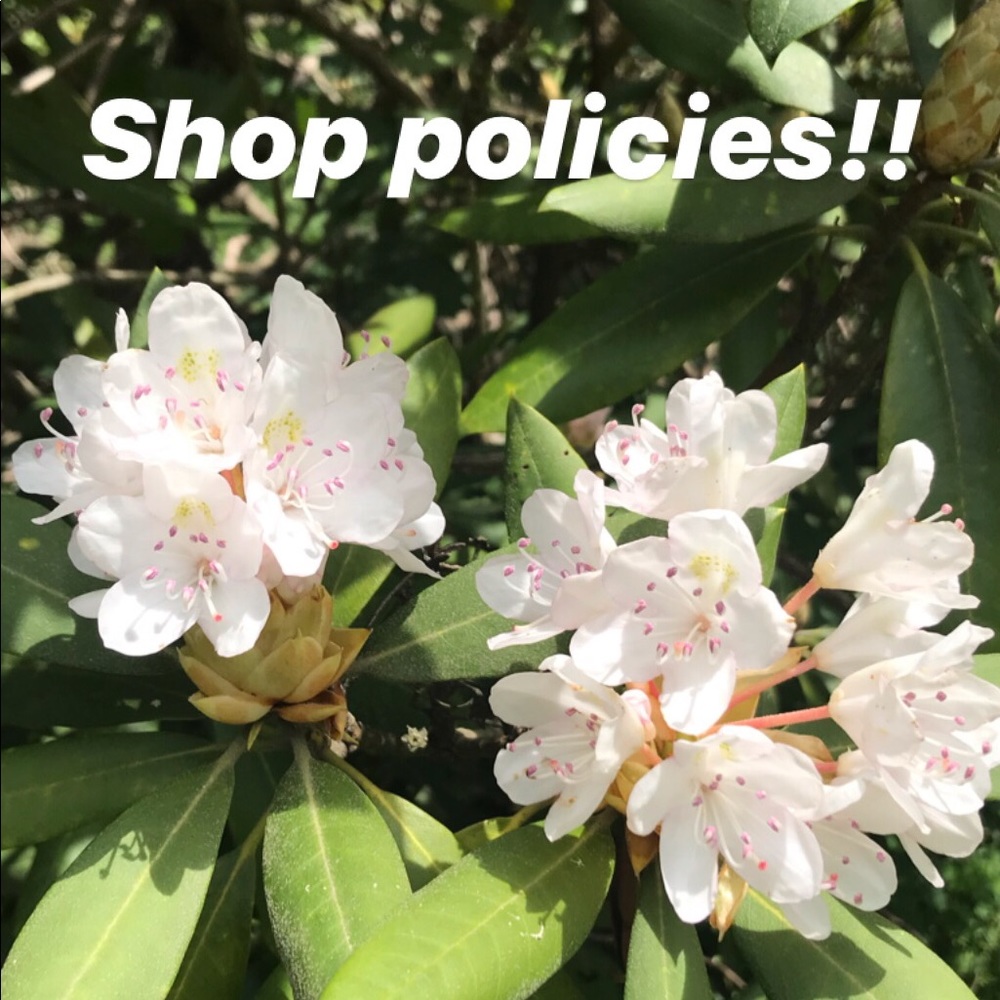 Shop policies